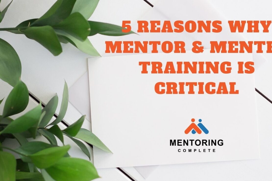  5 Reasons Why Mentee & Mentor Training is Critical