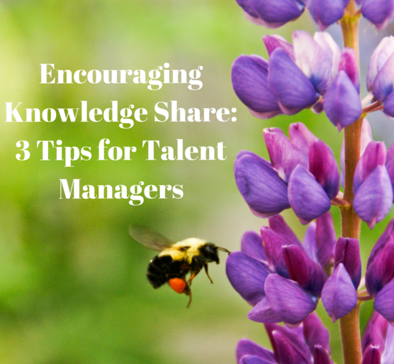 Encouraging Knowledge Share: 3 Tips for Talent Managers