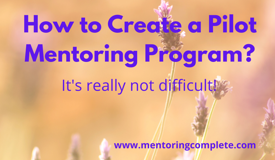  Learn How To Create A Pilot Mentoring Program