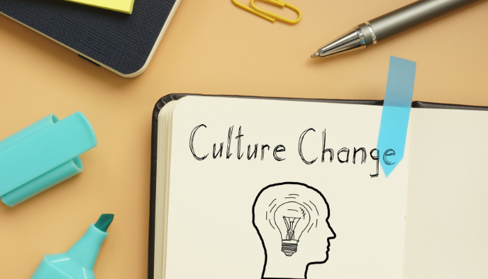 Business Mentoring to Support Culture Change