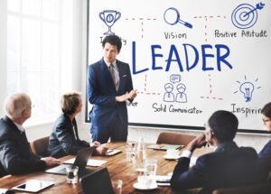 Leadership Strategies in Mentoring Culture